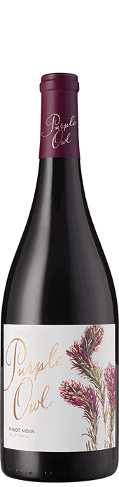 Purple Owl Pinot Noir 2022