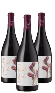 Purple Owl Pinot Noir 2023